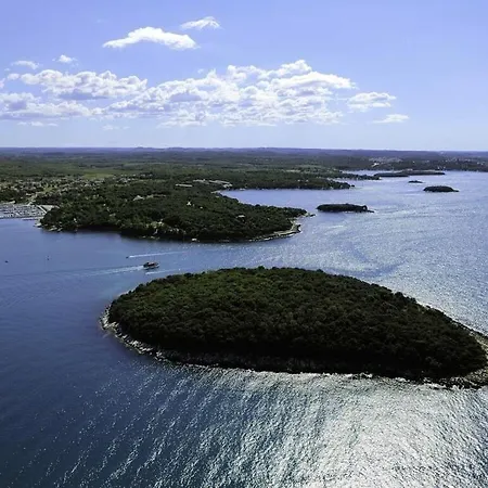 Marea Blue